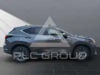 2023 Lexus NX450