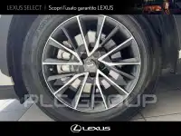 2023 Lexus NX450