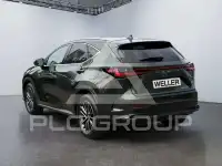 2023 Lexus NX450