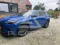 2023 Lexus NX450