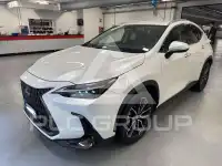 2023 Lexus NX450