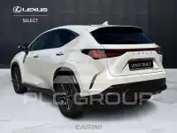 2023 Lexus NX450