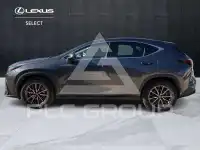 2023 Lexus NX450
