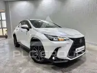 2023 Lexus NX450