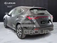 2023 Lexus NX200T