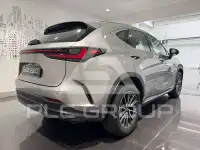 2023 Lexus NX200T