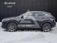 2023 Lexus NX200T