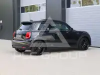 2023 Mini Unknown