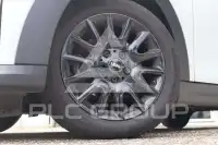 2023 Mini 