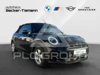 2023 Mini Unknown