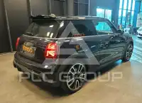 2023 Mini Unknown