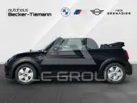 2023 Mini Unknown