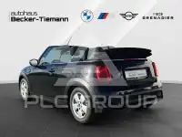 2023 Mini Unknown