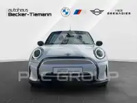 2023 Mini Unknown