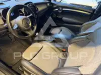 2023 Mini Unknown