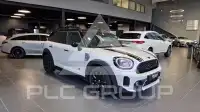2023 Mini Unknown