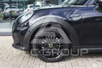 2023 Mini Unknown