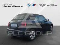 2023 Mini Unknown