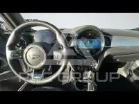 2023 Mini Unknown