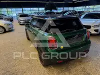 2023 Mini Unknown