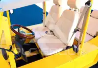 2023 Mini Unknown