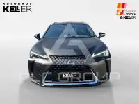 2023 Lexus UX250