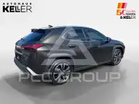 2023 Lexus UX250