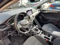 2023 Ford FOCUS