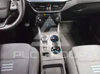 2023 Ford FOCUS
