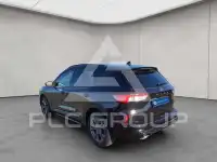 2023 Ford Kuga
