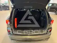 2023 Ford Kuga