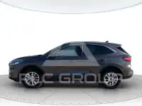 2023 Ford Kuga