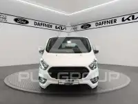 2023 Ford Tourneo