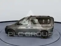 2023 Ford Tourneo
