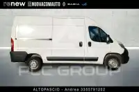 2023 Opel Movano