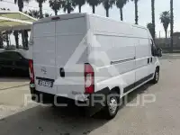2023 Opel Movano