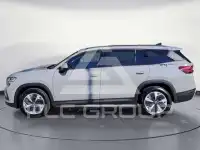 2024 Skoda Kodiaq