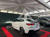 2024 BMW X2