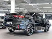 2024 BMW X2