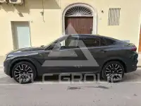 2024 BMW X6