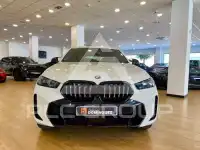2024 BMW X6