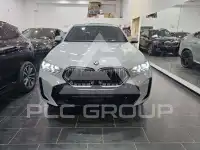 2024 BMW X6