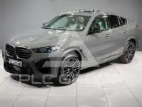 2024 BMW X6