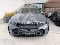 2024 BMW X6