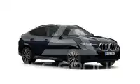 2024 BMW X6