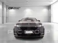 2024 BMW X6