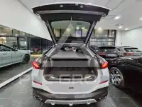 2024 BMW X6