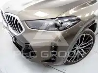 2024 BMW X6