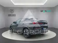 2024 BMW X6