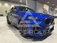 2024 BMW X6